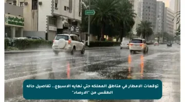 توقعات الأمطار في مناطق المملكة حتى نهاية الأسبوع.. تفاصيل حالة الطقس من “الأرصاد”